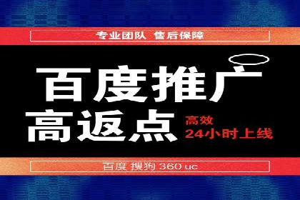 百度品牌专区推广的成效与案例